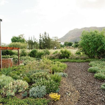 Vineyard Views Country House Рибек-Кастел Екстериор снимка