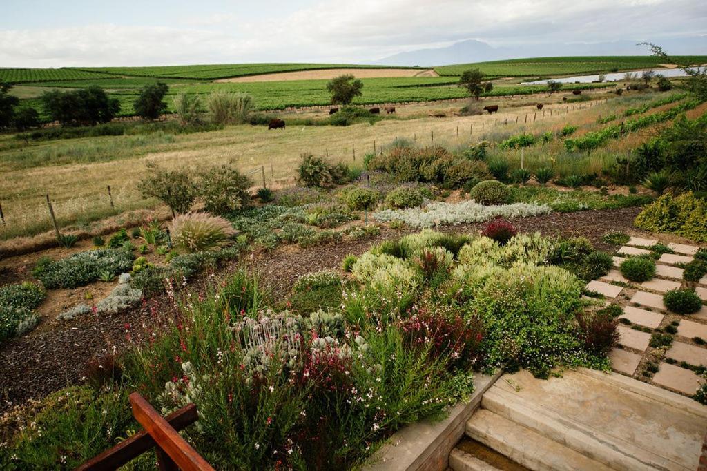 Vineyard Views Country House Рибек-Кастел Екстериор снимка
