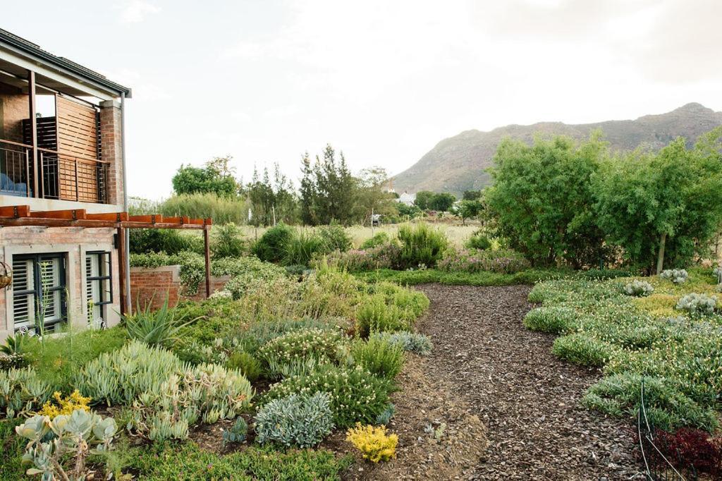 Vineyard Views Country House Рибек-Кастел Екстериор снимка