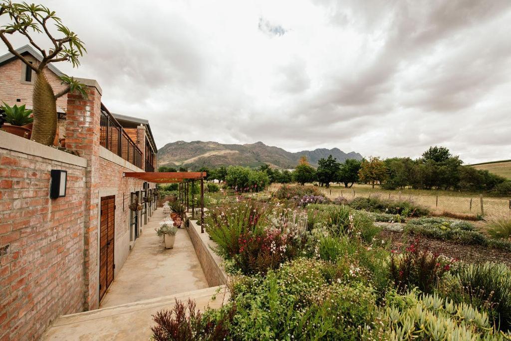 Vineyard Views Country House Рибек-Кастел Екстериор снимка